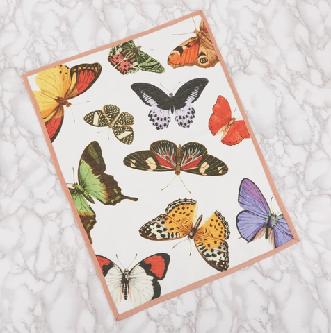 thomas paul metamorphosis collection butterfly tea towel at maeree