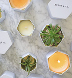 AYDRY shooting star citrus candle at maeree