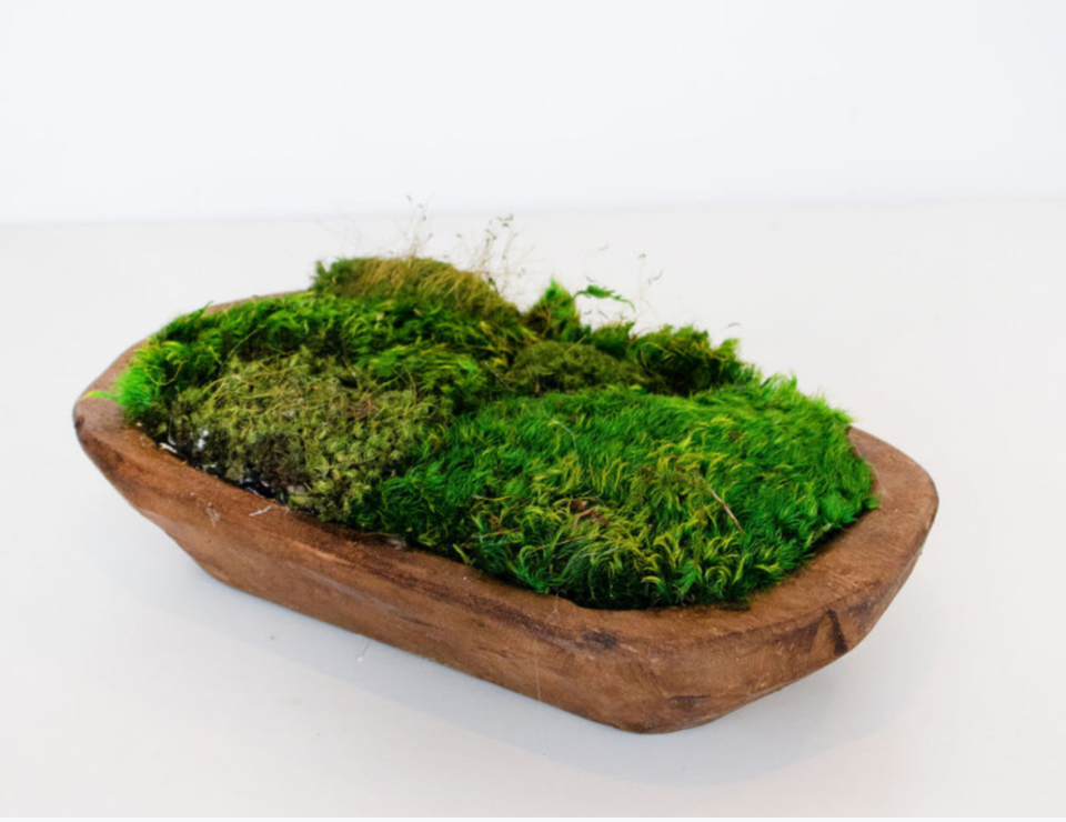 Preserved Moss Centerpiece, Paulownia Wood Moss Bowl, Table Decor