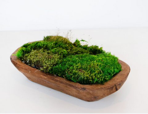 moss centerpiece bowl from hollybee at maeree