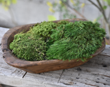 moss centerpiece bowl from hollybee at maeree
