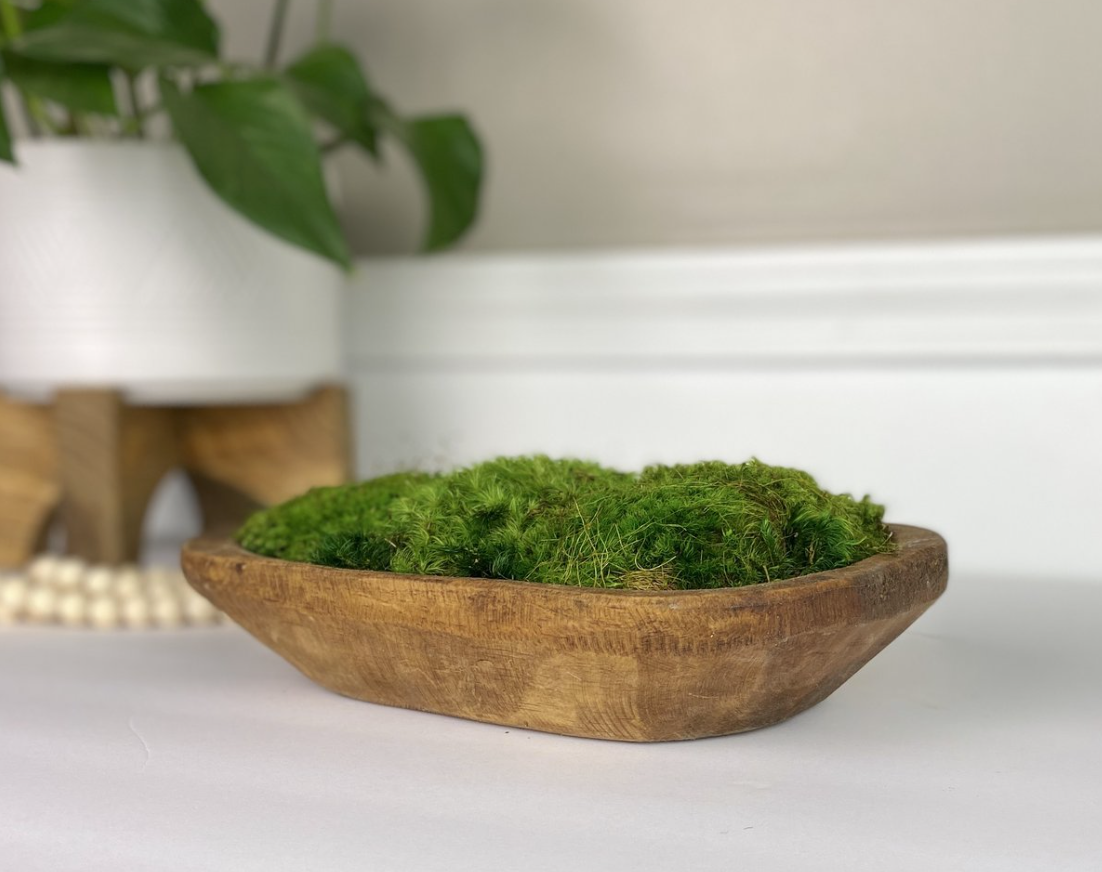Premium Olive Wood Moss Bowl – The Moss Shop