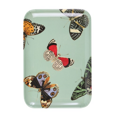 thomaspaul metamorphosis butterfly tray collection at maeree